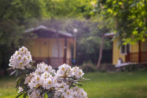 Lovely Bungalow In Pretty Area Place