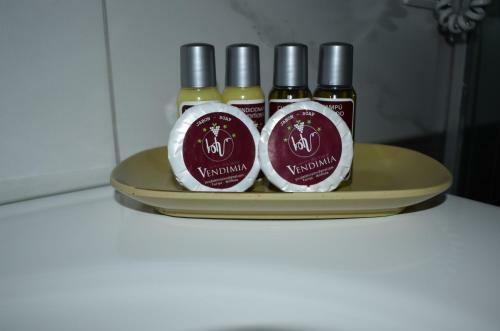 Hotel Boutique Vendimia
