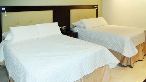 Hotel Delfines Collection Equipetrol