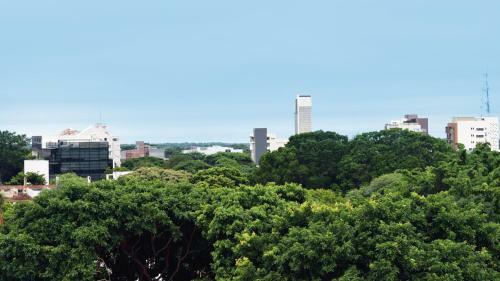 Hotel Delfines Collection Equipetrol