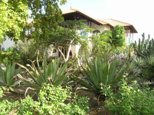 Apartment 1 And 5 In Windsock Beach Resort