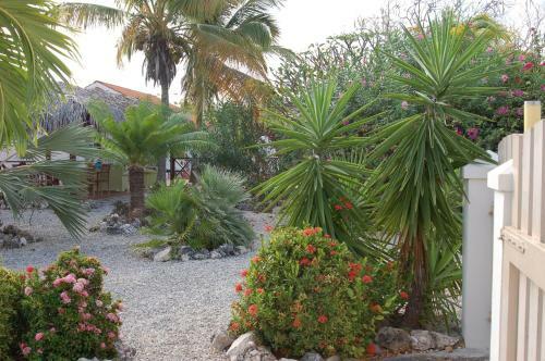 Villa Lunt Bonaire