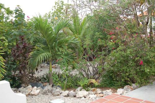 Villa Lunt Bonaire