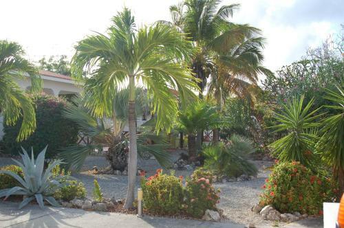 Villa Lunt Bonaire