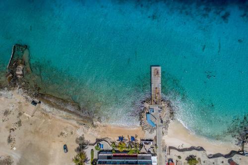 Oceanfront Apartment Dolphin At Den Laman