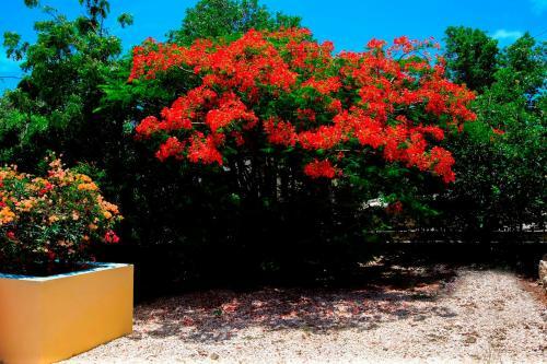 Hostal Goood Resort
