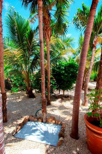 Hostal Goood Resort
