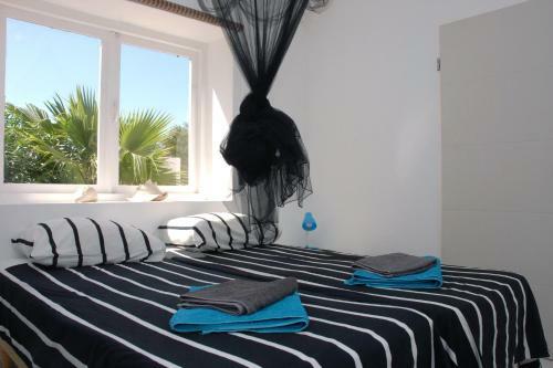 Bed & Breakfast Bnbbonaire Near The Ocean