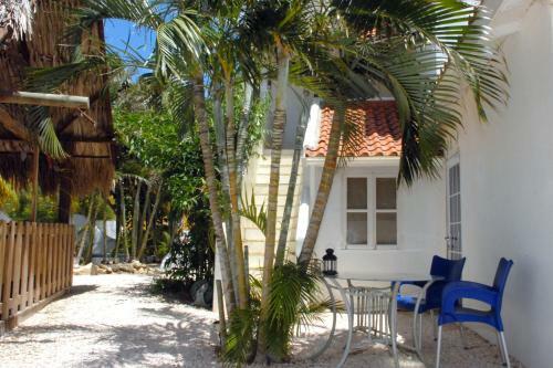 Bed & Breakfast Bnbbonaire Near The Ocean