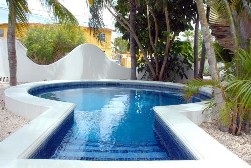 Bed & Breakfast Bnbbonaire Near The Ocean