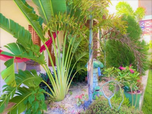 Hostal Pousada Castelo Das Princesas - �guas Belas