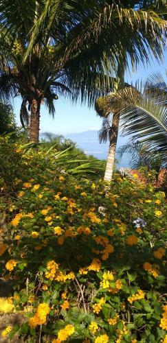 Hostal Pousada Cost�o Do Sol