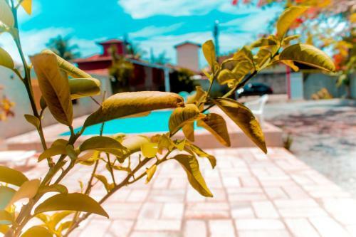 Hostal Pousada Lape