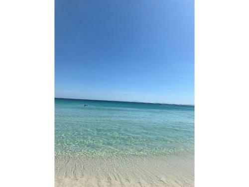 Apartamento Rental Home Praia Grande