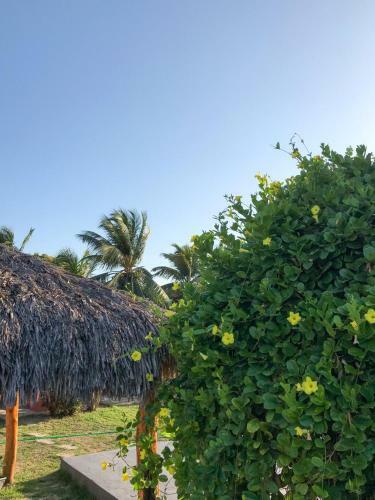 Hostal Pousada Aruna Kite