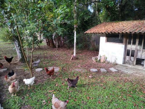 Babu�s House Bertioga