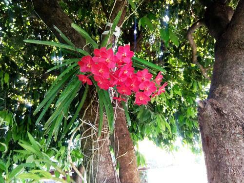 Hostal Pousada Do Joca Bonito/ms