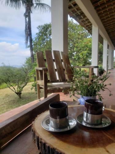 Casa Pr�xima �s Cachoeiras