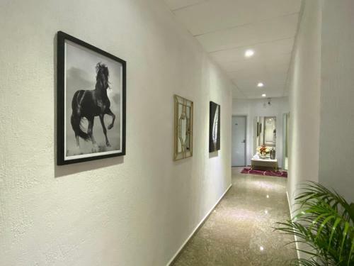 Hotel Netto