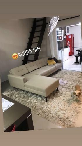 Casa Com Piscina, Churrasqueira E Sinuca