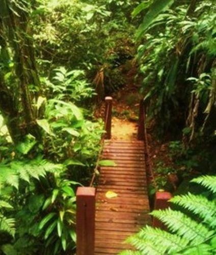 Hotel Bosques Do Massagua�u