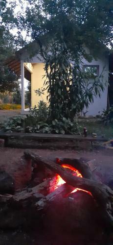 Hostal Su�te Da Floresta