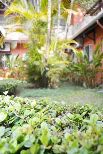 Hostal Pousada O Garimpo