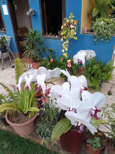 Chale