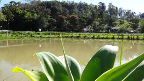 Hostal Pousada Colar de Ouro Chal�s