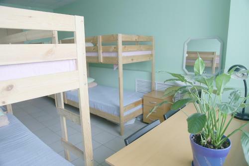 Hostel Erel
