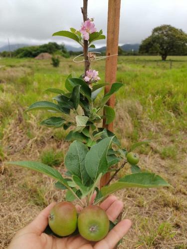 Recanto Da Horta ? Viva O Natural Em Floripa