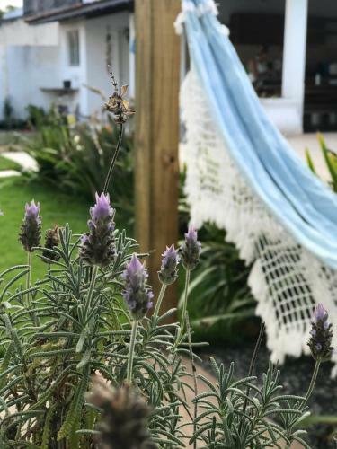 Apartamento Loft Charmoso - Praia Do Campeche