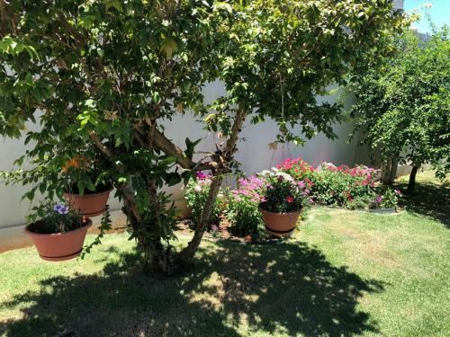 Hotel Recanto Da Paz