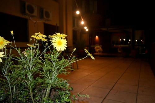 Apartamento Locar-in Gramado Aconchego Cora��o de Gramado