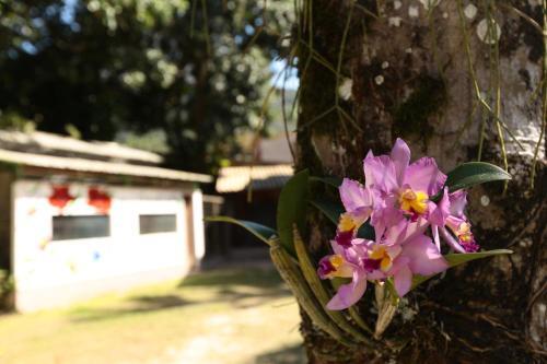 Hostal Pousada Das Orquideas20