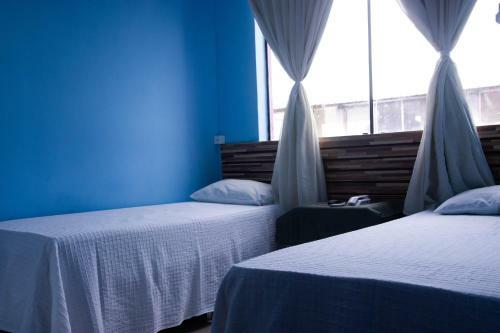 Bed & Breakfast Colt Hotel