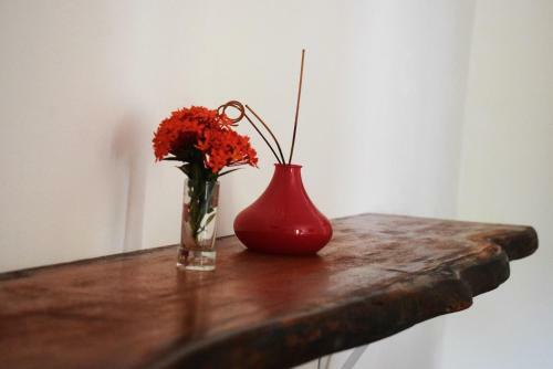 Yellow Rock Hostel E Casa Da Patr�cia