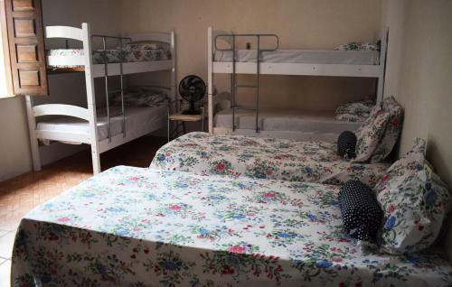 Yellow Rock Hostel E Casa Da Patr�cia