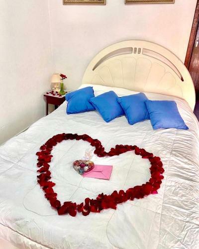 Hostal Chacara Papagaios