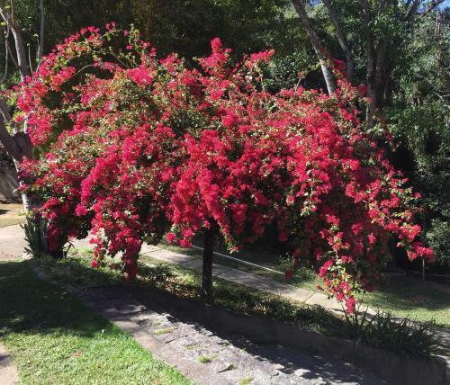 Hospedaria S�tio Dos Mendon�a