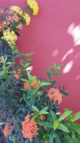 Hostal Casas Barra Sol