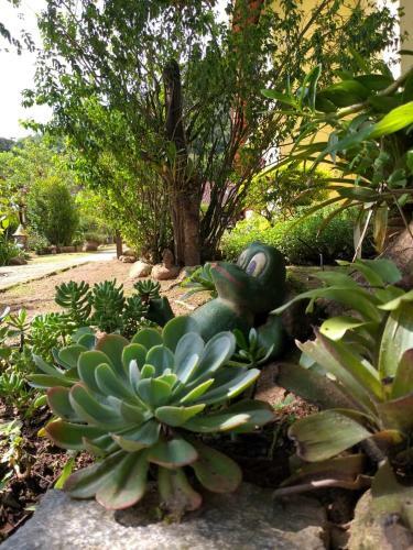 Hotel Pousada Beira Rio