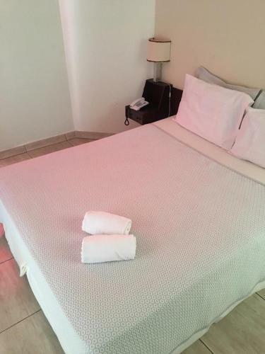 Binder Hotel Mogi Guacu