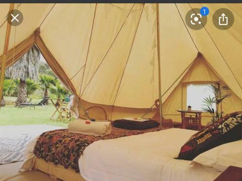 Monkey Forest Chal� And Camping
