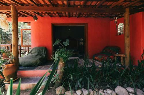 Monkey Forest Chal� And Camping