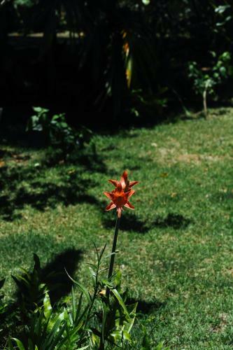 Monkey Forest Chal� And Camping