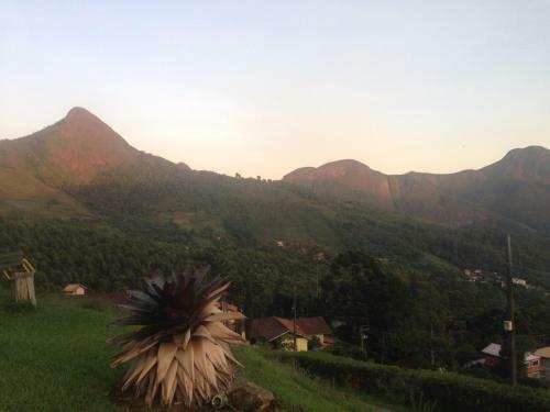 Canto Dos P�ssaros