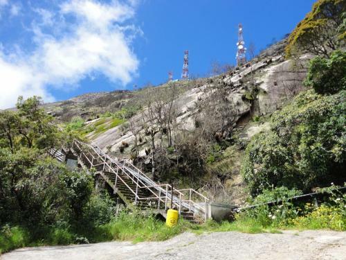 Canto Dos P�ssaros