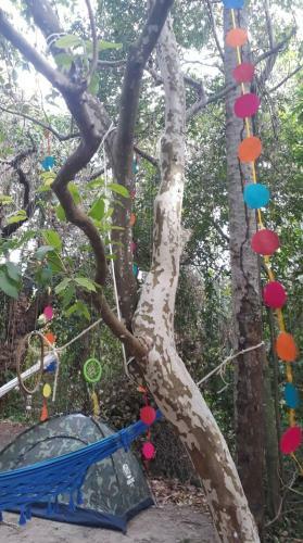 Camping Carnaval Olinda