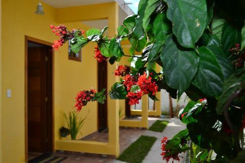 Bed & Breakfast Pouso Paratiense Jabaquara